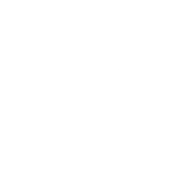 ruff